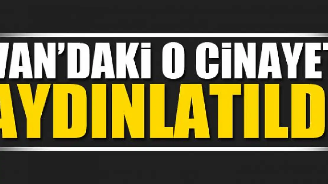 Van'daki o cinayet aydınlatıldı