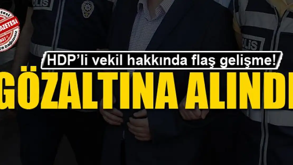 HDP'li vekil gözaltına alındı