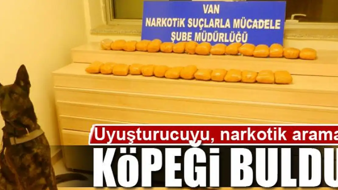 Uyuşturucuyu, narkotik arama köpeği buldu