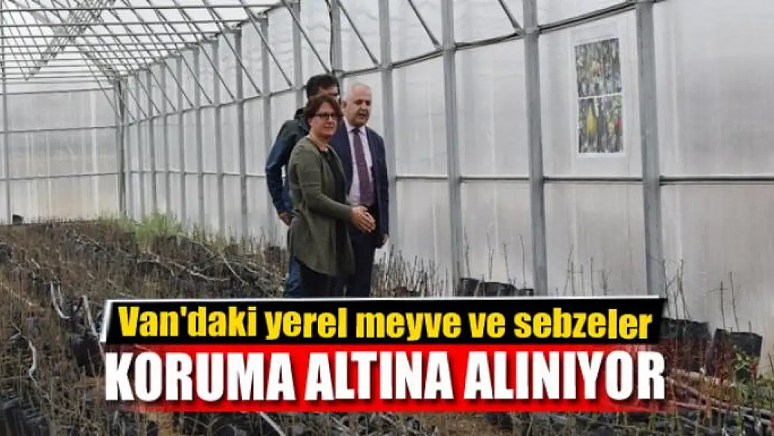 Van'daki yerel meyve ve sebzeler koruma altına alınıyor