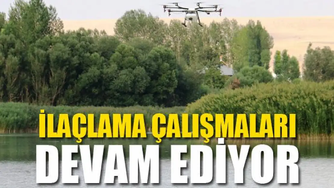 Edremit'te drone ile ilaçlama çalışması