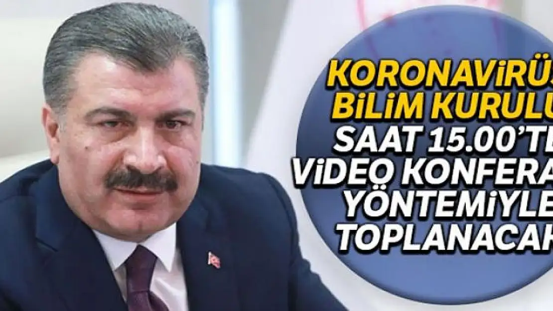 Koronavirüs Bilim Kurulu saat 15.00'te video konferans yöntemiyle toplanacak