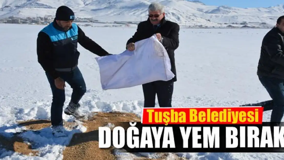 Tuşba Belediyesi, yaban hayvanları için doğaya yem bıraktı