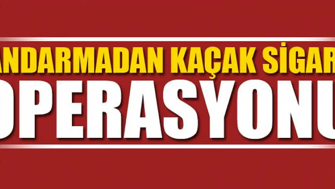 Jandarmadan kaçak sigara operasyonu