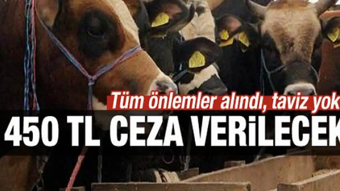 Cezalar belli oldu! Taviz verilmeyecek...