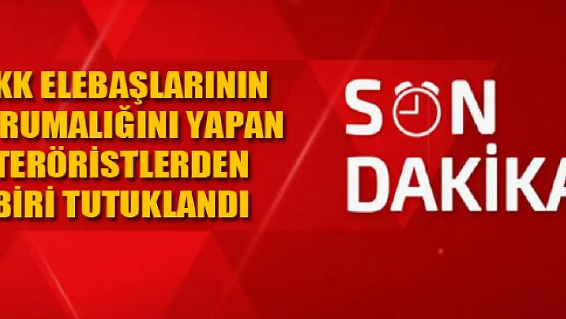 PKK elebaşlarının korumalığını yapan teröristlerden biri tutuklandı