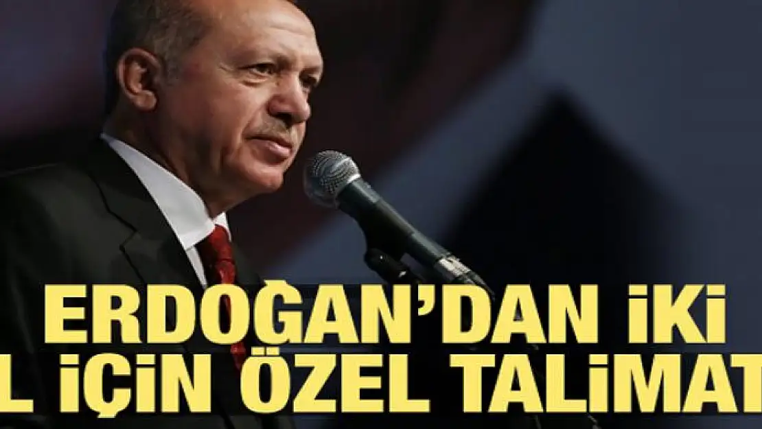 Erdoğan'dan iki il için özel talimat