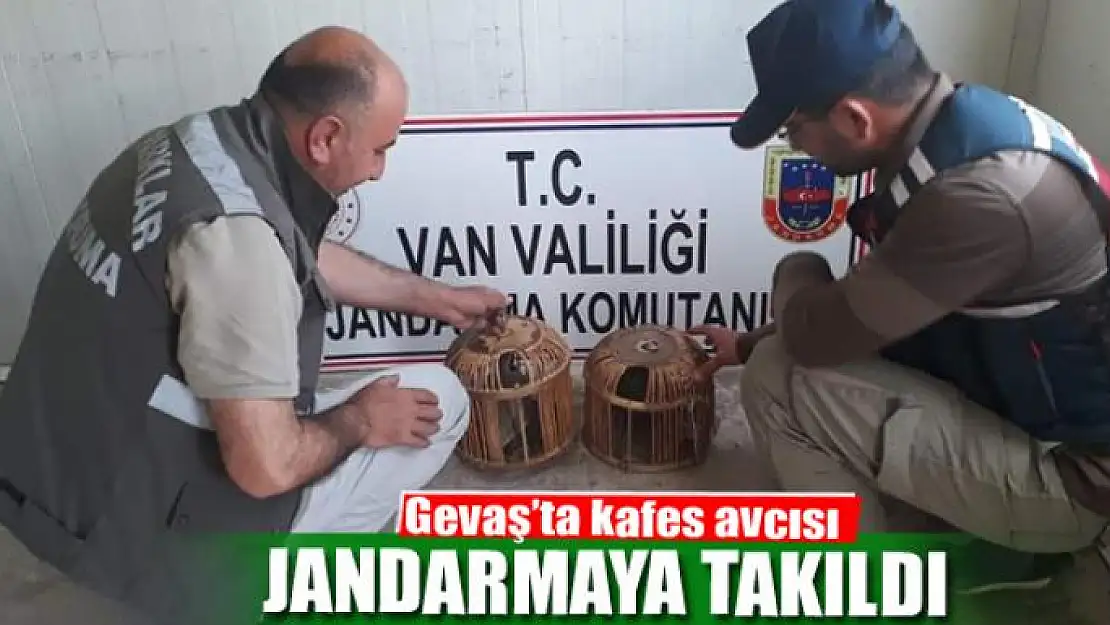 Kafes avcısı jandarmaya takıldı