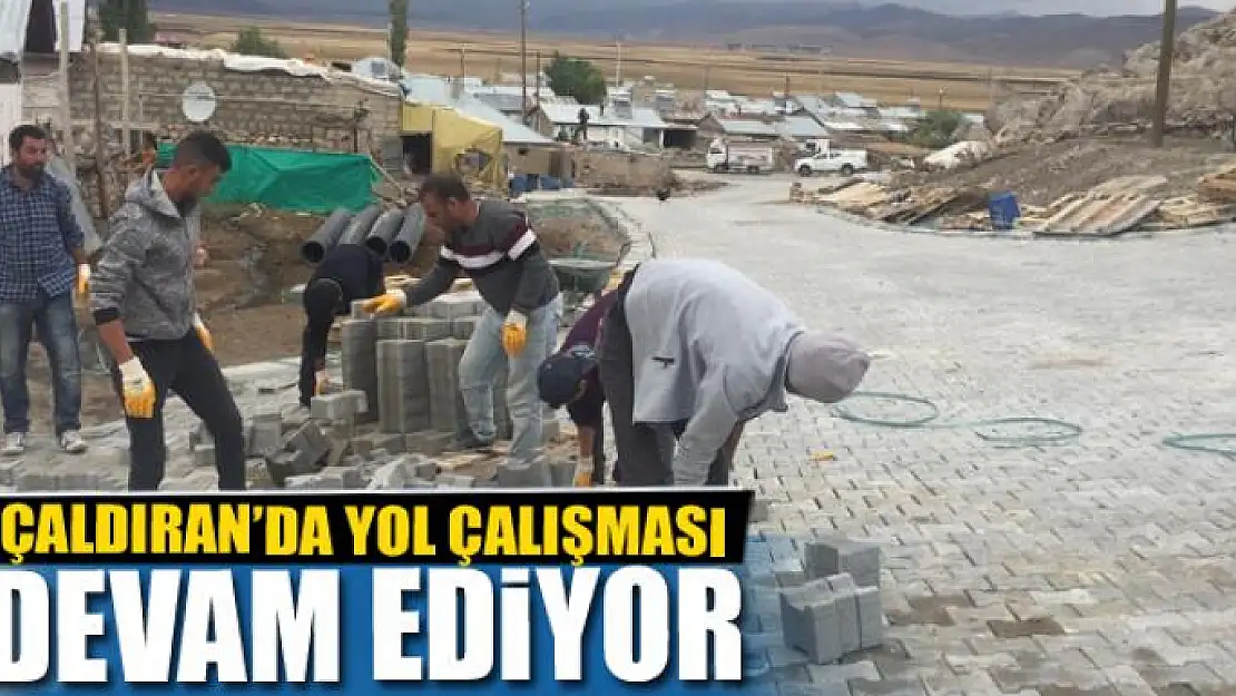 Çaldıran'da 41 noktada yol çalışması 