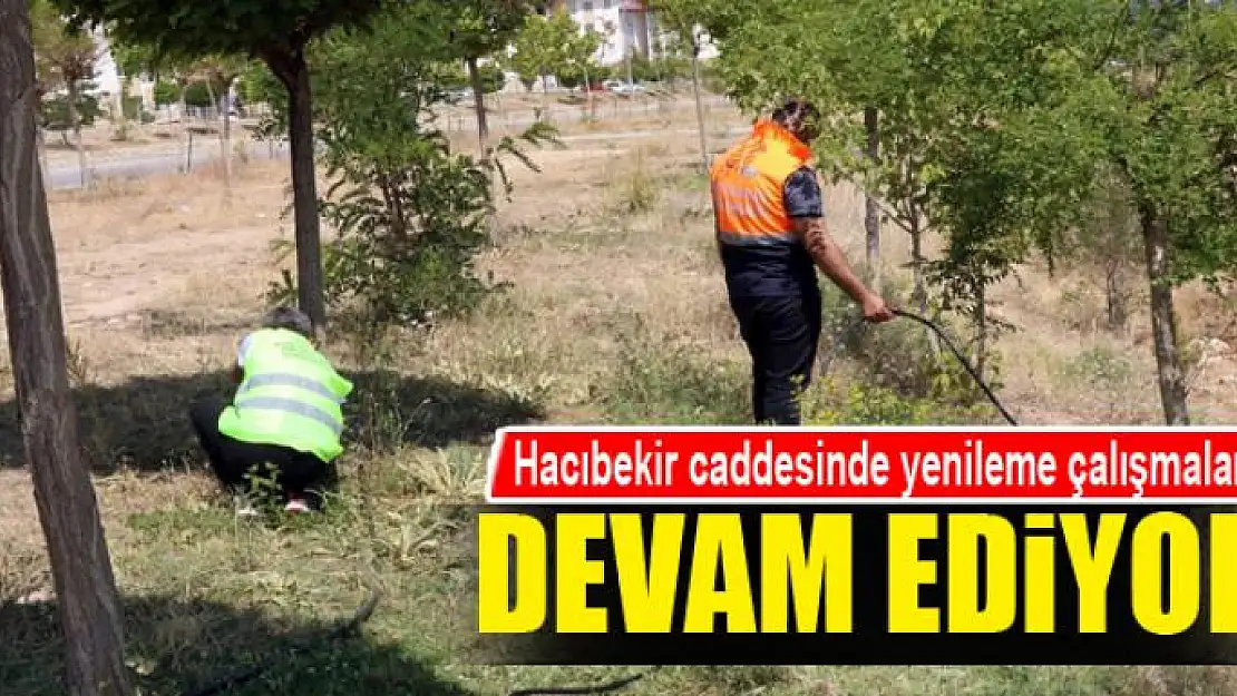 Hacıbekir caddesinde yenileme çalışmaları devam ediyor