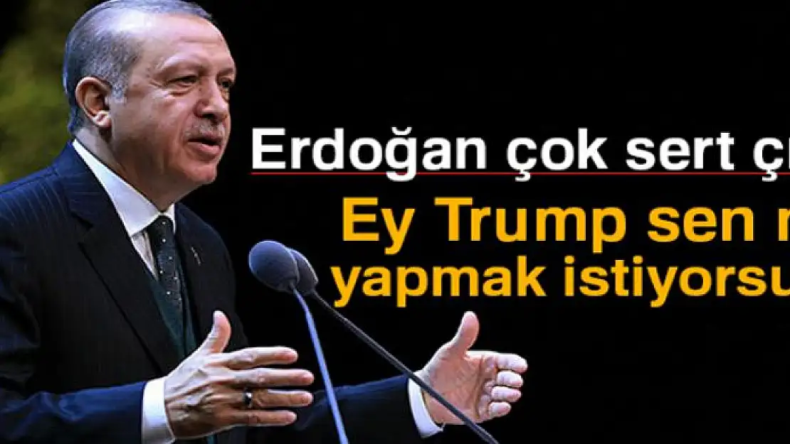 Erdoğan: 'Ey Trump sen ne yapmak istiyorsun?'