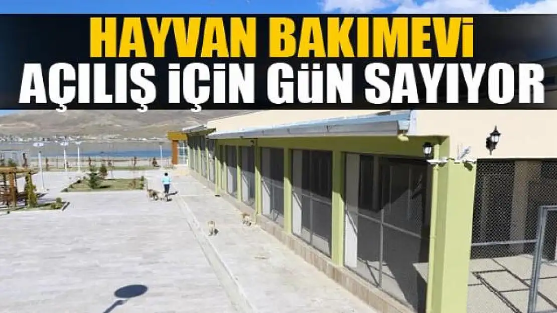 Hayvan Bakımevi açılış için gün sayıyor