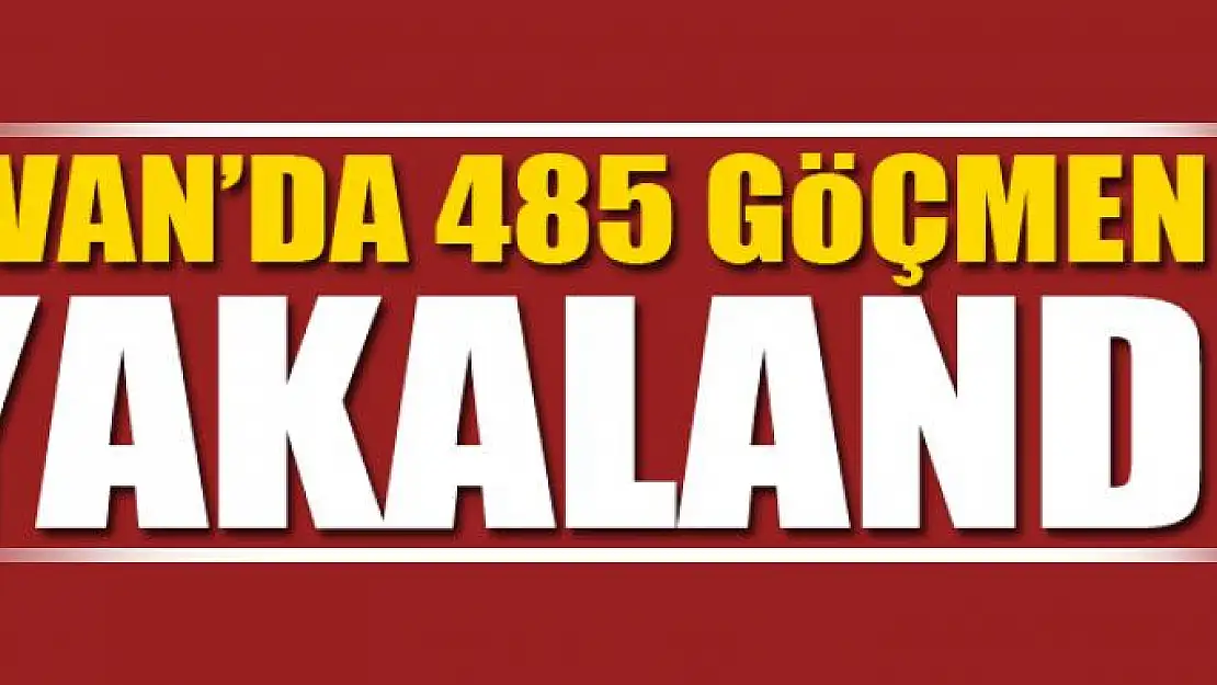 Van'da 485 göçmen yakalandı