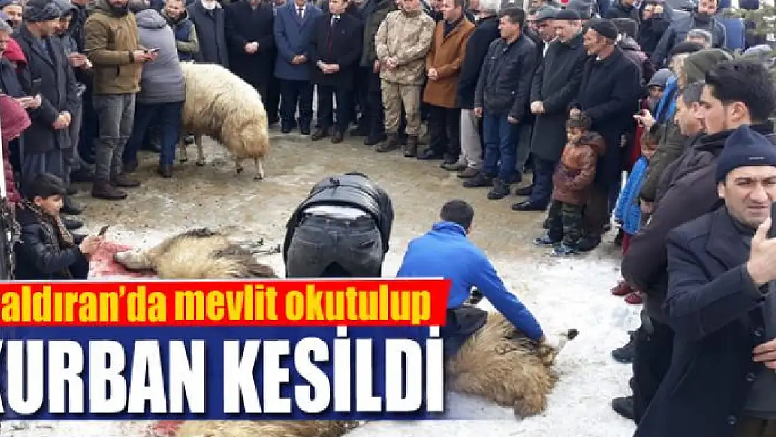 Çaldıran'da mevlit okutulup kurban kesildi