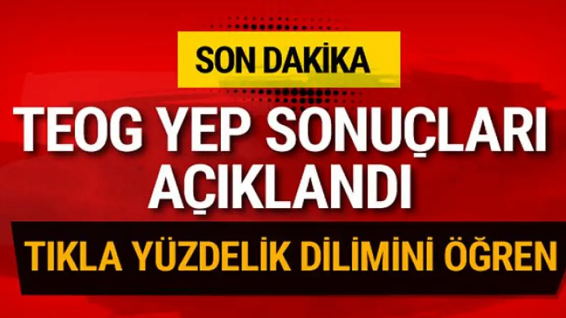 TEOG 2017 YEP sonuçları sorgu ekranı