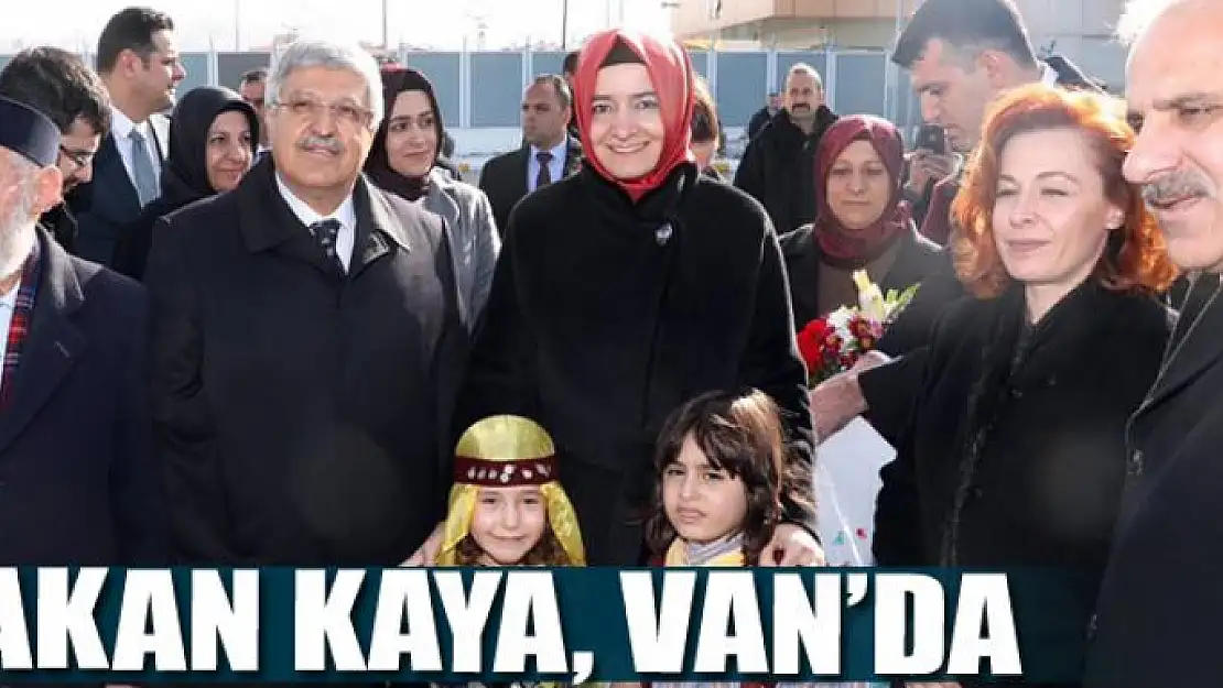 Bakan Kaya, Van'da