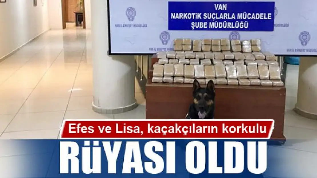 Efes ve Lisa, kaçakçıların korkulu rüyası oldu 