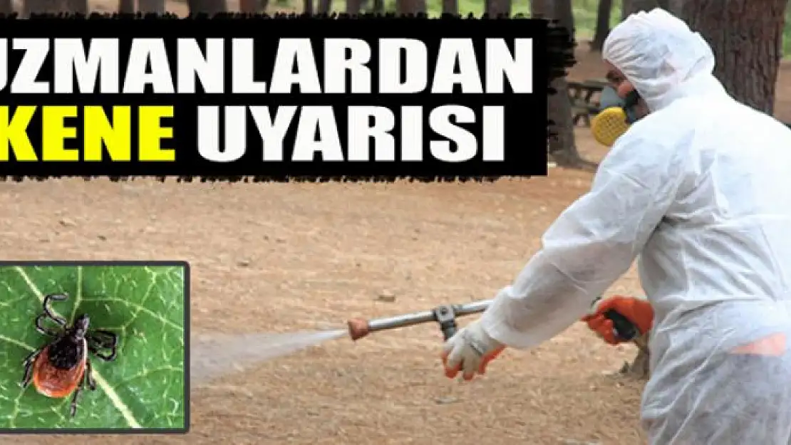 Uzmanlardan kene uyarısı