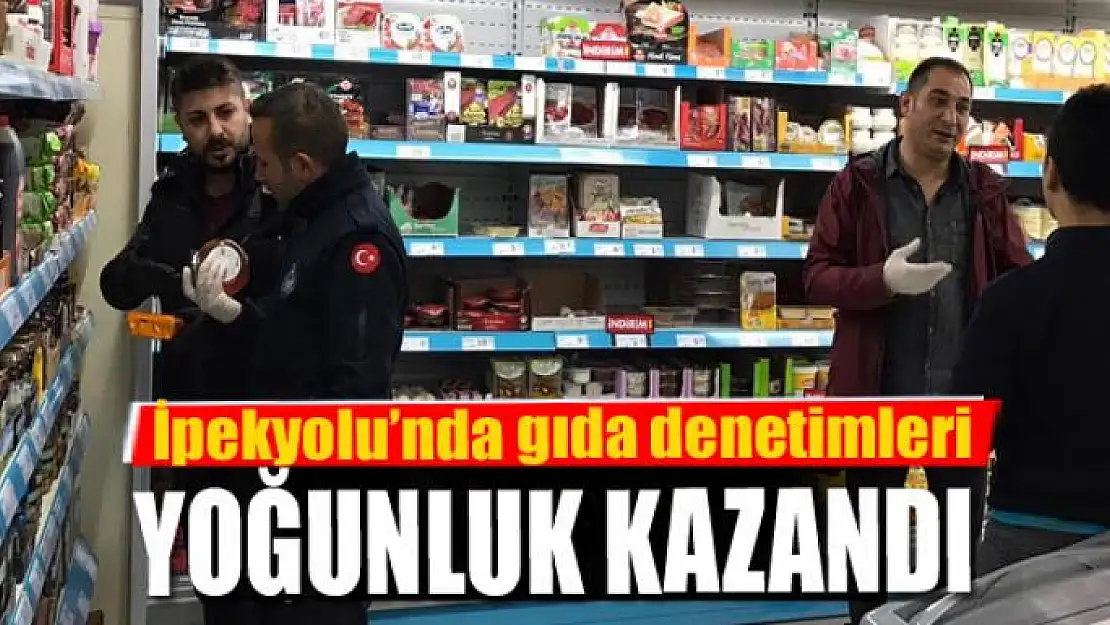 İpekyolu'nda gıda denetimleri yoğunluk kazandı