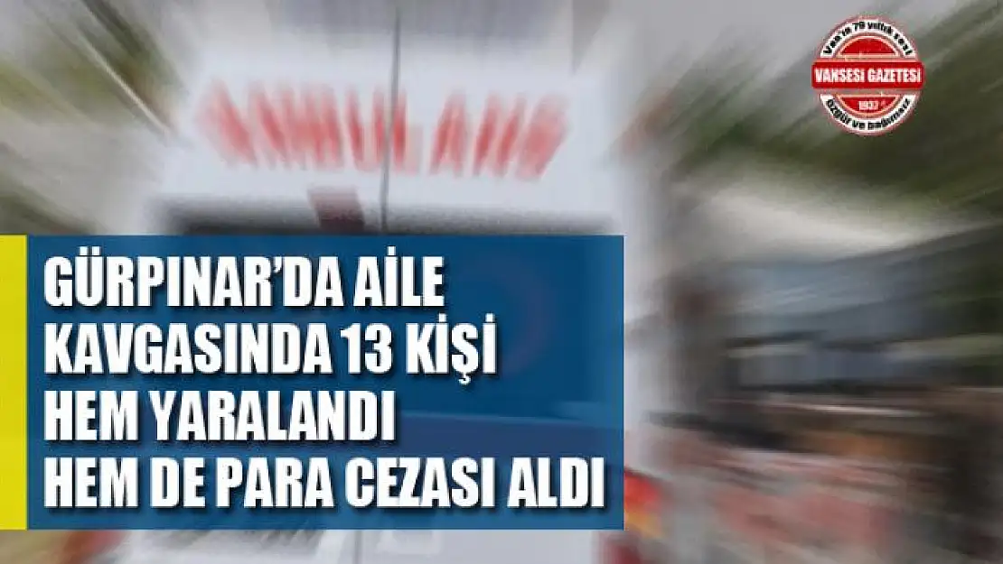 Gürpınar'da aile kavgasında 13 kişi hem yaralandı hem de para cezası aldı