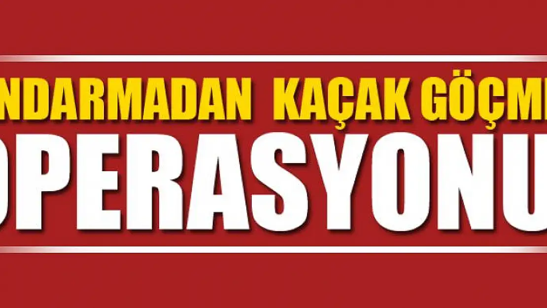 Jandarmadan kaçak göçmen operasyonu