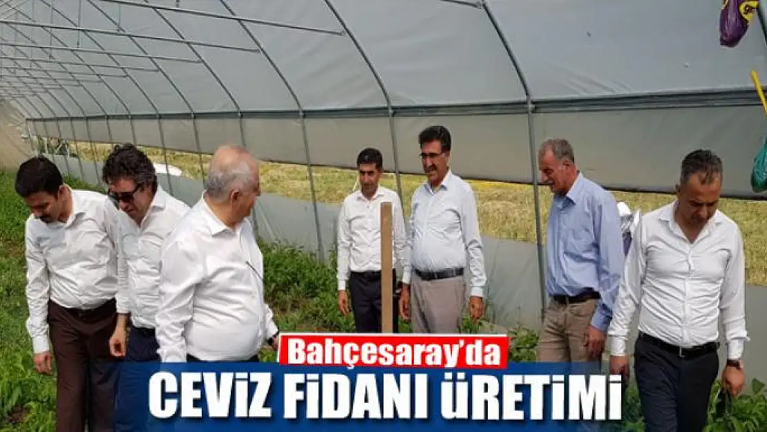 Bahçesaray'da ceviz fidanı üretimi