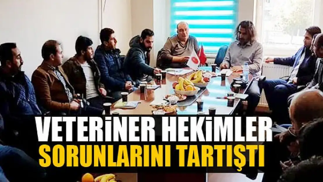 Veteriner hekimler sorunlarını tartıştı 