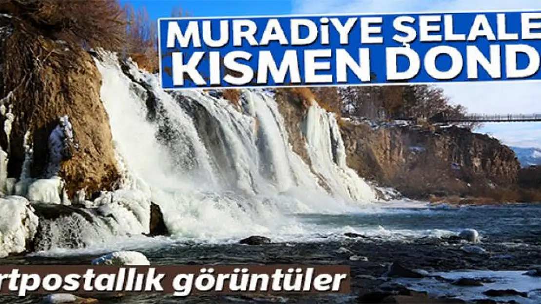 Muradiye Şelalesi kısmen dondu