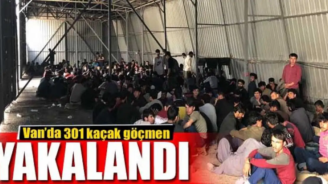 Van'da 301 kaçak göçmen yakalandı