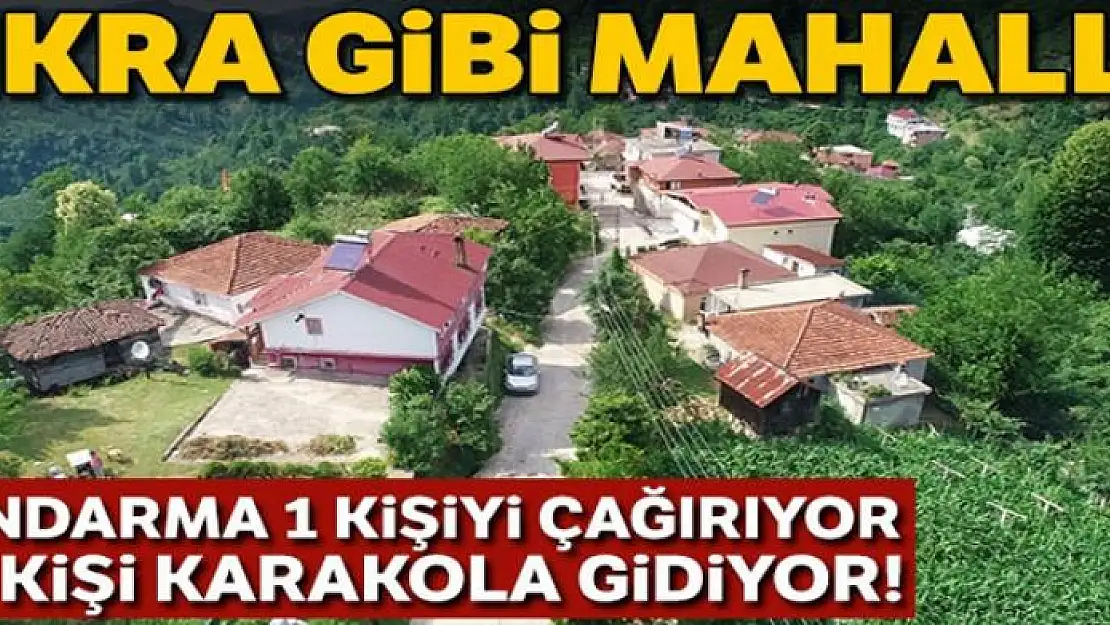 Kardeniz fıkrası gibi mahalle