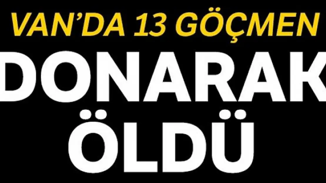 Çaldıran'da 13 düzensiz göçmen donarak öldü