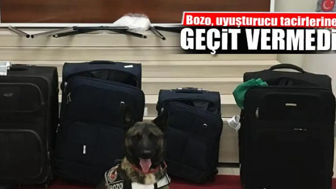 Bozo, uyuşturucu tacirlerine geçit vermedi