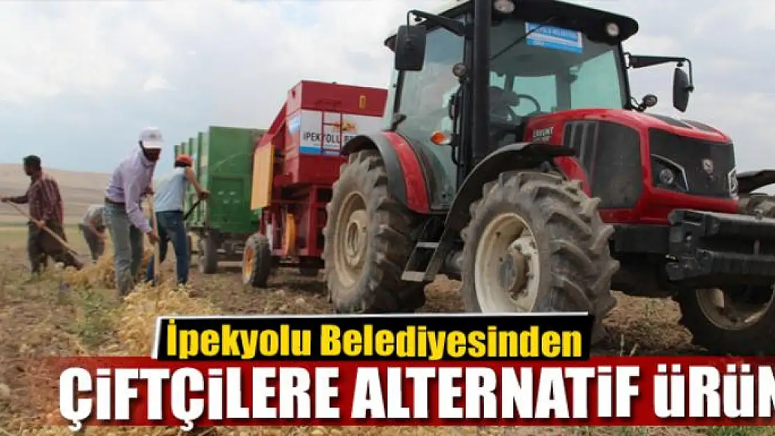 İpekyolu Belediyesinden çiftçilere alternatif ürün 