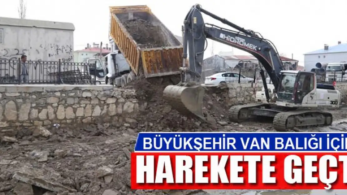 BÜYÜKŞEHİR VAN BALIĞI İÇİN HAREKETE GEÇTİ