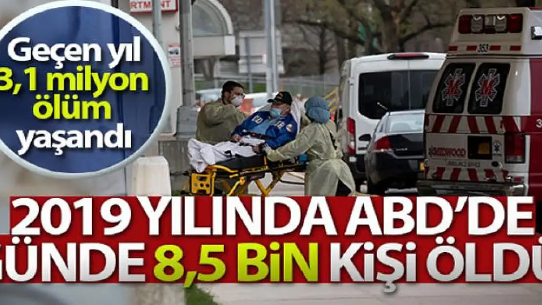 2019 yılında ABD'de günde 8,5 bin kişi öldü