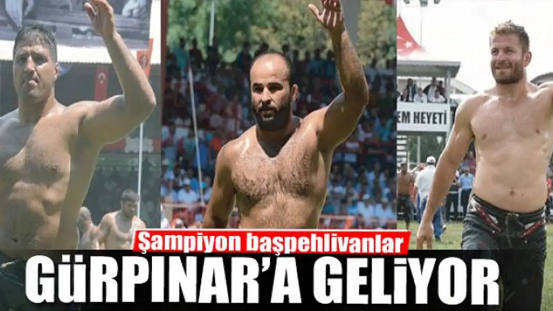 Şampiyon başpehlivanlar Gürpınar'a geliyor