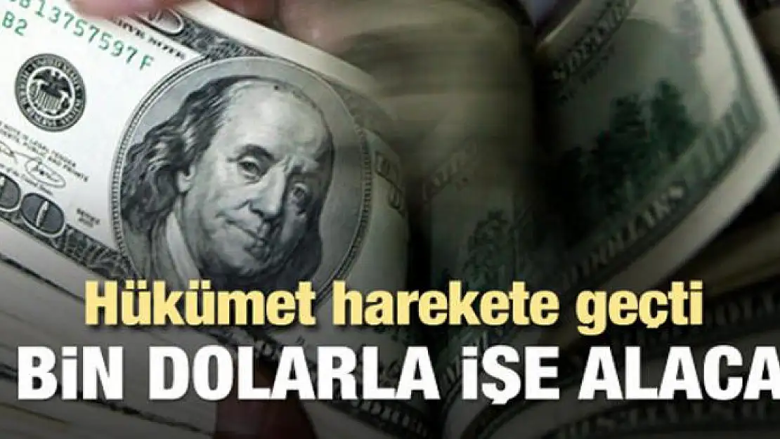 Büyük fırsat! 2 bin dolar maaş verilecek