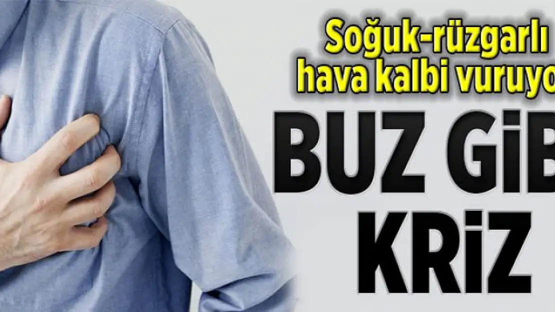 Buz gibi kriz  