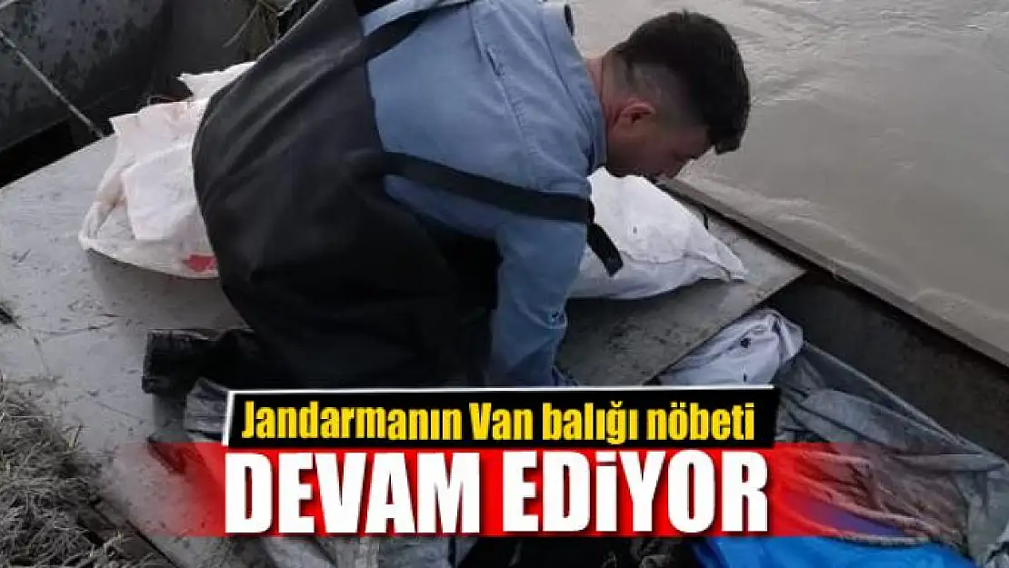 Jandarmadan Van balığı nöbeti 