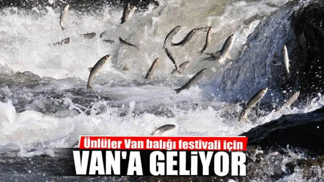 Ünlüler Van balığı festivali için Van'a geliyor 