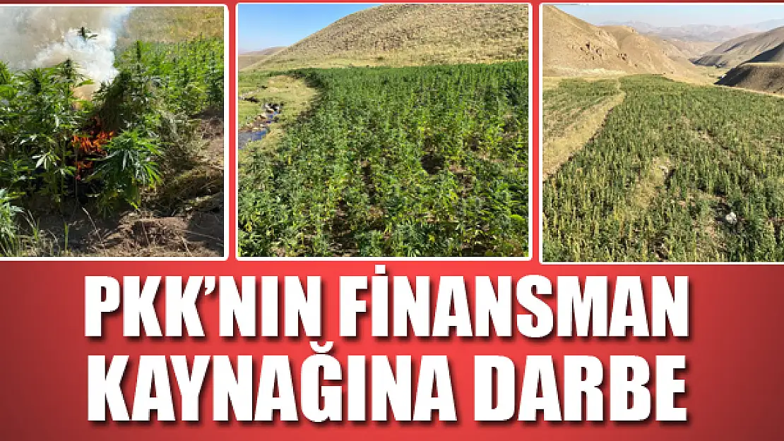 PKK'nın finansman kaynağına darbe