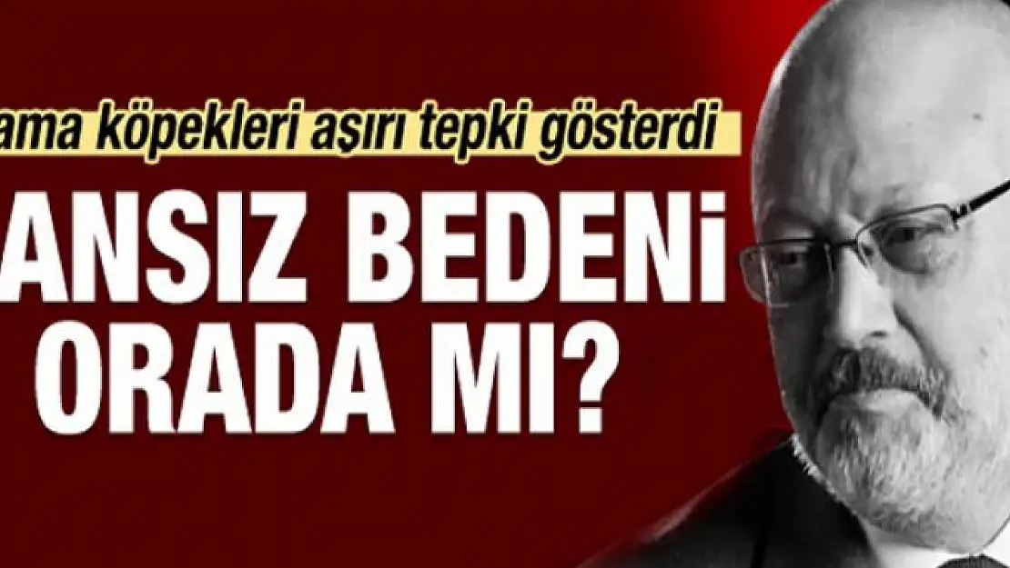 Cemal Kaşıkçı cinayetinde 5 bavul sır