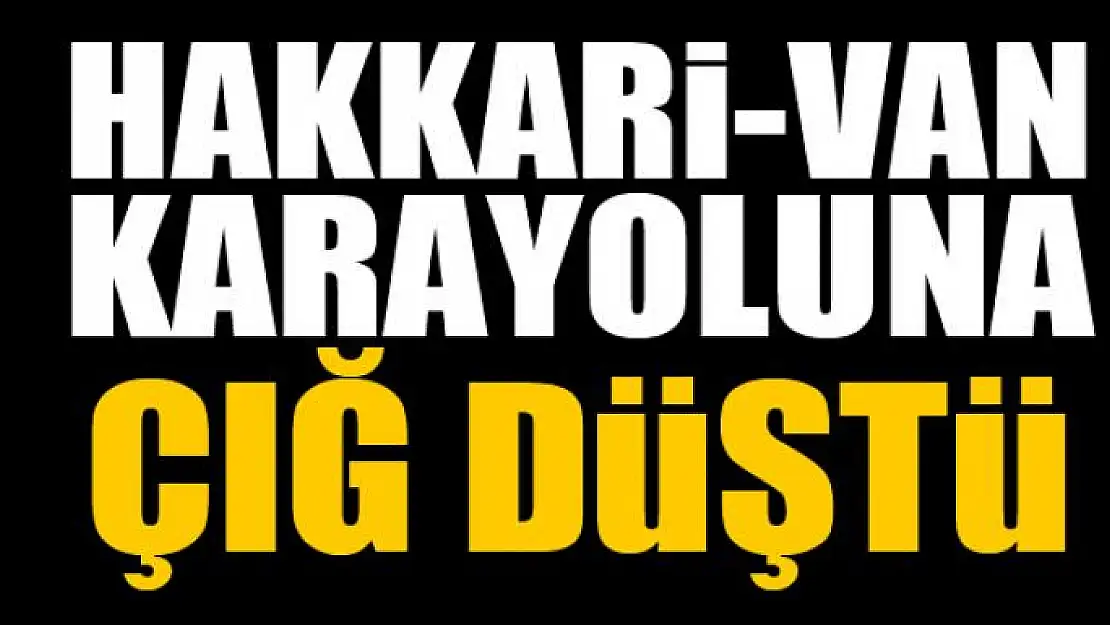 Hakkari-Van karayoluna çığ düştü