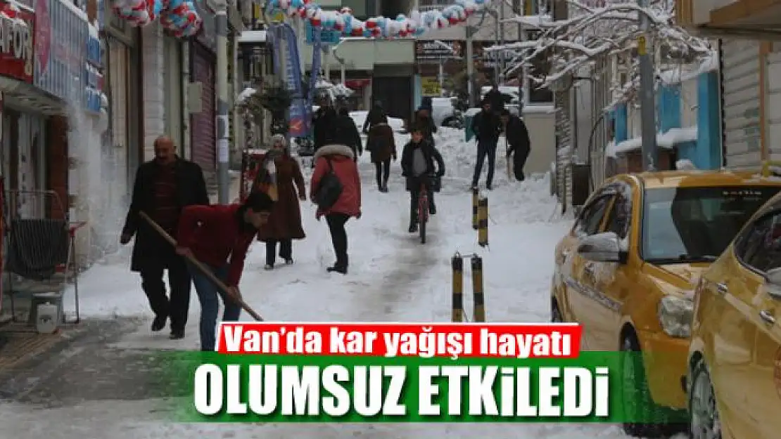 Van'da kar yağışı hayatı olumsuz etkiledi