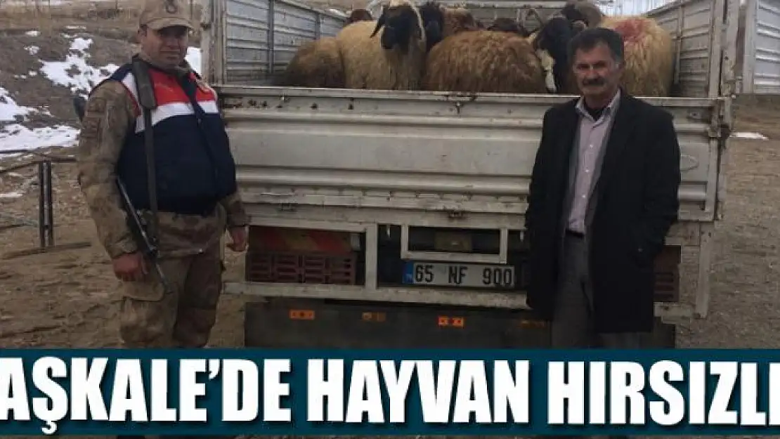 Başkale'de hayvan hırsızlığı 