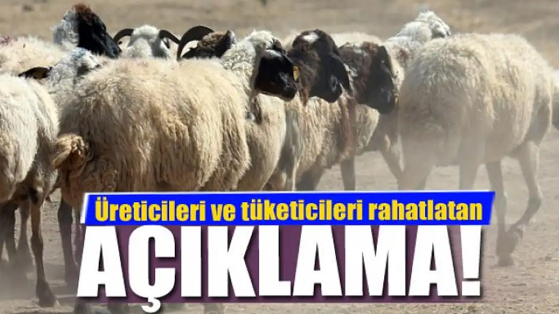 Prof. Dr. Aslan'dan üreticileri ve tüketicileri rahatlatan açıklama 