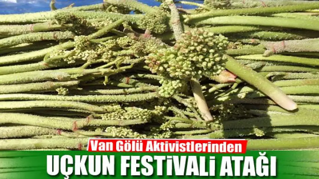 Van Gölü Aktivistlerinden 'Uçkun Festivali' atağı