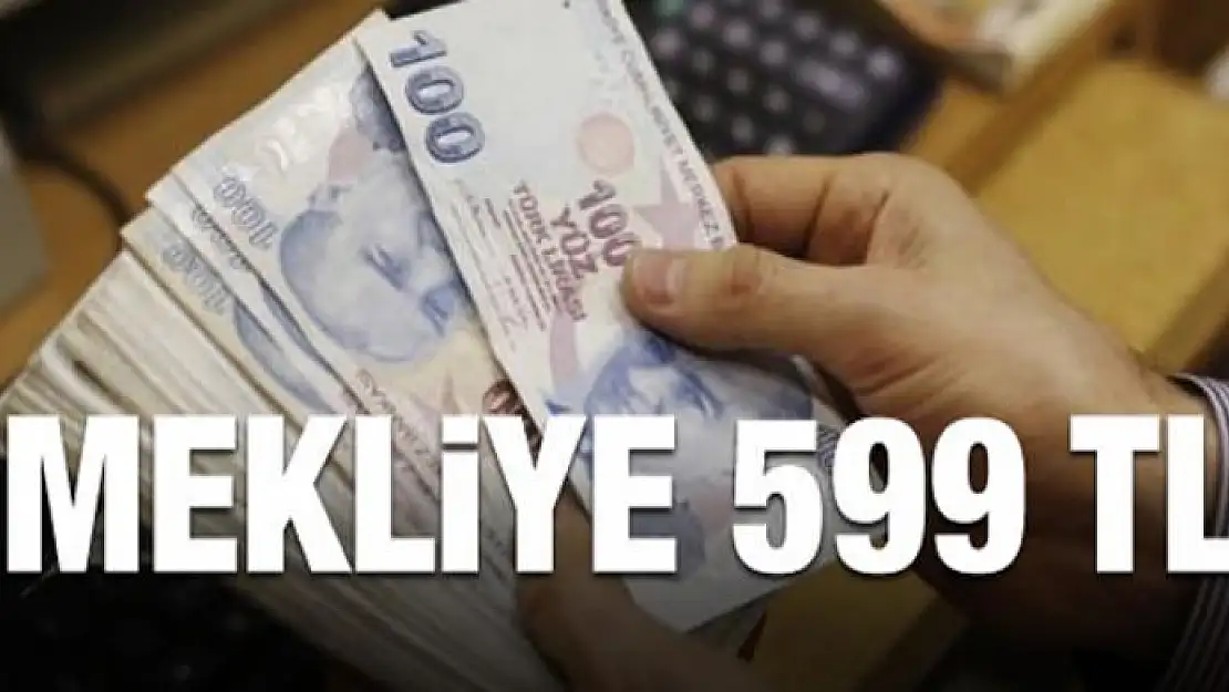 Emekliye 599 TL