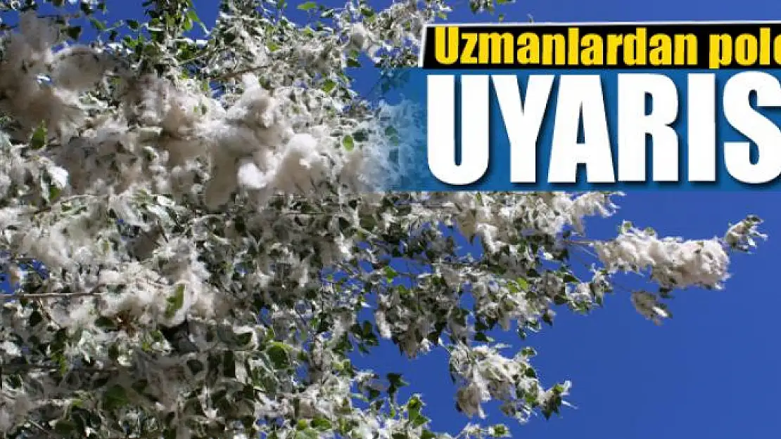 Uzmanlardan polen uyarısı