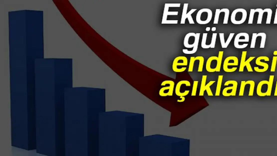 Ekonomik güven endeksi Aralık'ta düştü